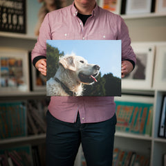 Person holding canvas print of dog